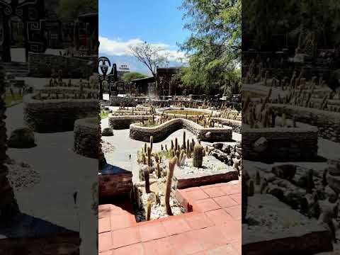 Museo Pachamama Amaicha del Valle Tucumán #argentina 📸🖼️☀️#viral #shorts #motivation #vacation
