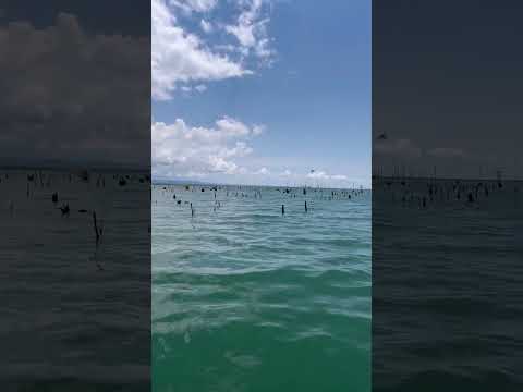 Rio mais famoso do Brasil , rio Tocantins . #peixe #pescaria #tucunare #laser