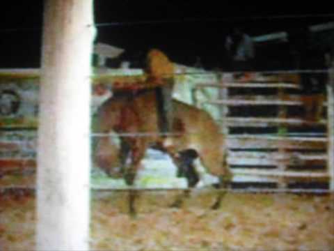 ginetiadas do rodriguinho