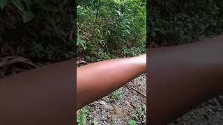 preview picture of video 'Pertualangan bukit soeharto km 45 poros balikpapan - samarinda'