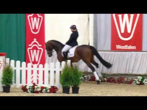 21 Finest Dancer Wallach v. Fürstenball - Sandro Hit