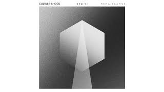 Culture Shock - Renaissance