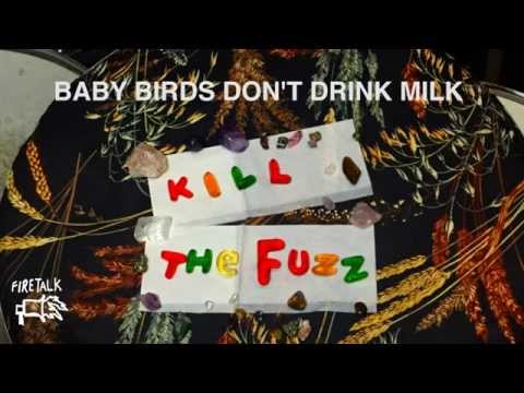 Baby Birds Don't Drink Milk - Kill The Fuzz (Full Album Stream)