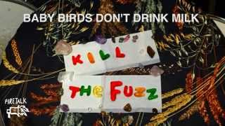 Baby Birds Don't Drink Milk - Kill The Fuzz (Full Album Stream)