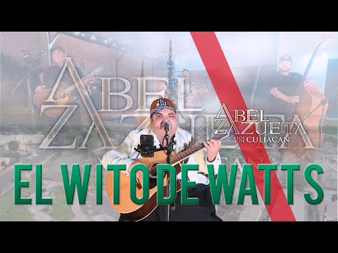 ABEL ZAZUETA Y Los De Culiacán / EL WITO DE WATTS (Videos En Vivo 2023)
