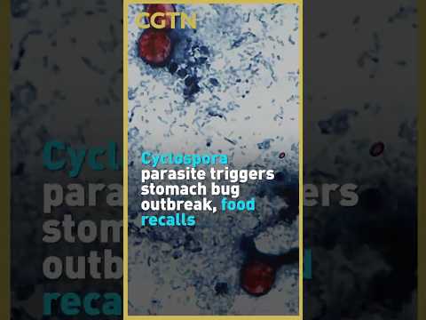 Cyclospora parasite triggers stomach bug outbreak, food recalls
