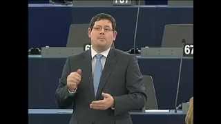 Képviselői felszólalás – 2013.01.14. Strasbourg
