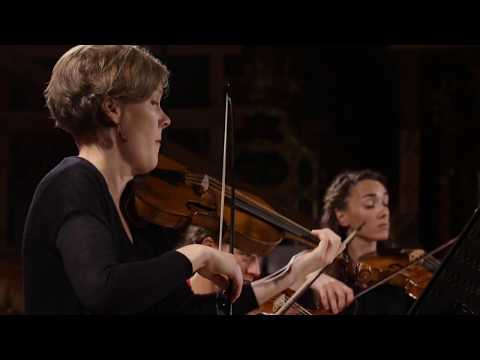 Telemann | Sonata in D Major TWV 44:1 (Spirituoso) | Kore Orchestra