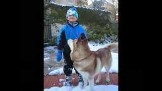 Dodl mit der Rodl 2014