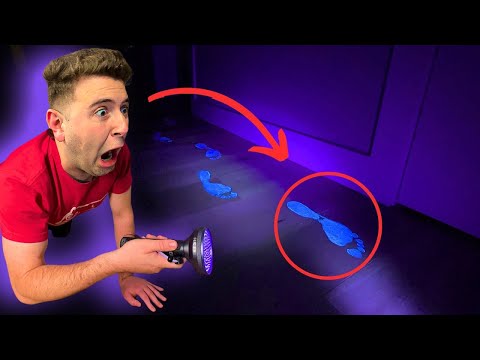 SOCORRO! ENCONTREI PEGADAS ESTRANHAS NA MANSÃO DA LAGOA!!