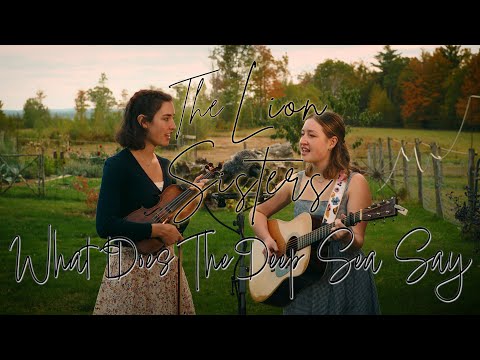 What Does The Deep Sea Say 