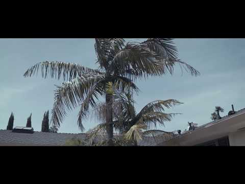 RC P.A.P Music Video