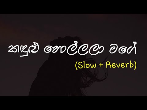Kandulu Hollala Mage (කඳුළු හොල්ලලා මගේ) Slow + Reverb