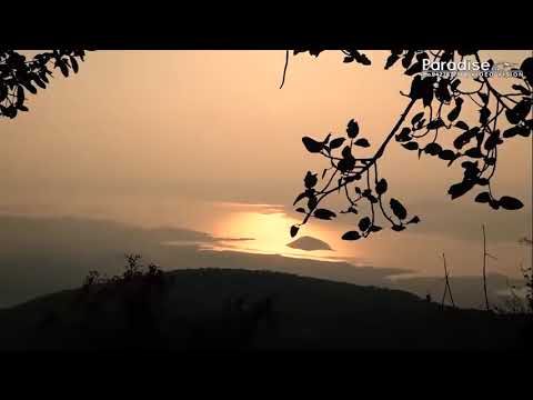 Uncha Uncha Shatrunjayna Shikharo Sohay #Jain Stavan