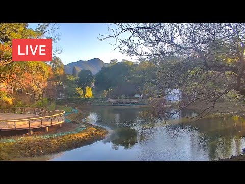 角板山生態池即時影像