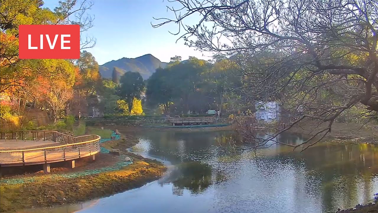 角板山生態池