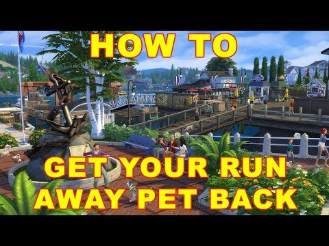 Sims 4 Cats & Dogs: Run Away Pet, How to Get Them Back