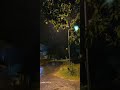 Rain WhatsApp Status Full Screen Barish Full Screen Status New Video ️ ️ ️