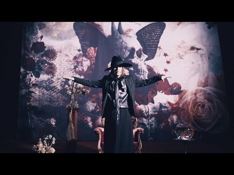 「freely」MUSIC VIDEO のサムネイル
