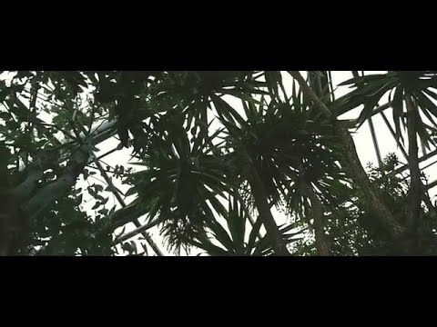Mura Masa - ...Girl (Official Video)