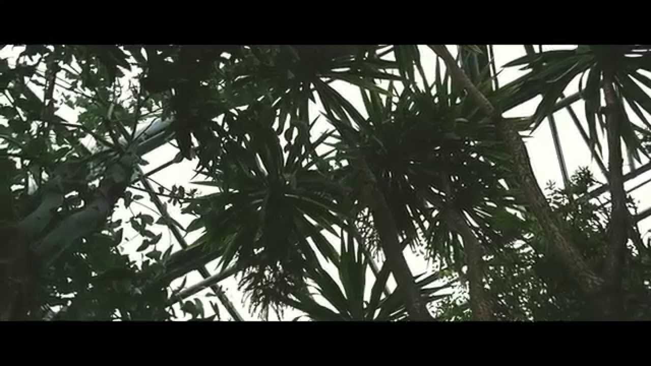 Mura Masa — …Girl