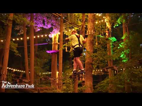 1.618 Marketing video.