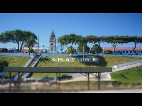 Amatura amazonas, Brasil. 