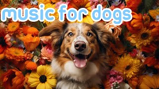 Calming Music for Dogs [24 HOURS] | Separation Anxiety Relief!