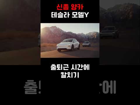 신종 양카 테슬라 모델Y