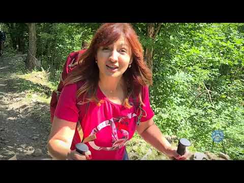 Magične šume planine JEŠEVAC | SA VANJOM U PLANINE Ep.16