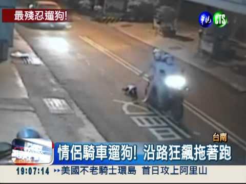 虐犬惡情侶! 騎車飆速狠拖狗