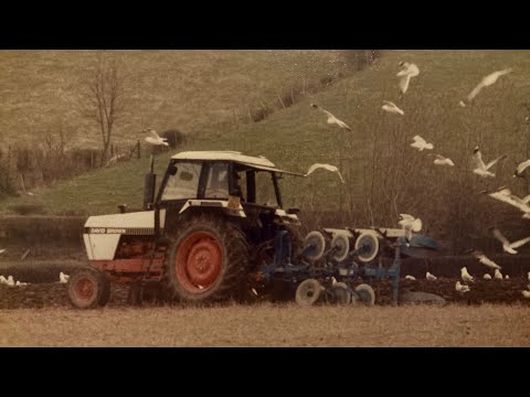 We’ve not been introduced…