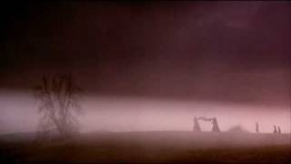 Antimatter - Flowers