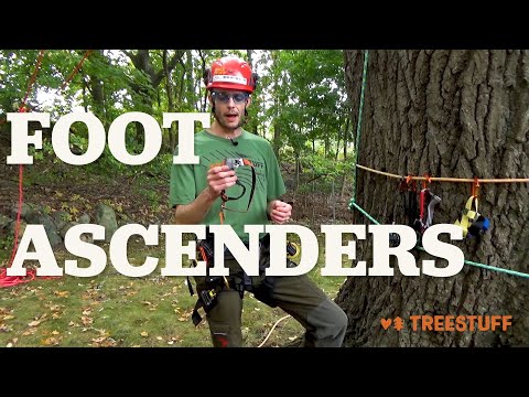 CMI Foot Ascender | TreeStuff CMI Foot Ascender | TreeStuff