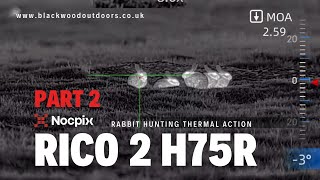 NOCPIX RICO 2 H75R THERMAL RABBIT AIRGUN HUNTING - PART 2 #thermalhunting  #nocpix #airgunhunting
