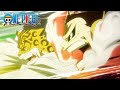 Straw Hats And CP0 Team Up One Piece