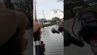 Fishing can get chaotic!