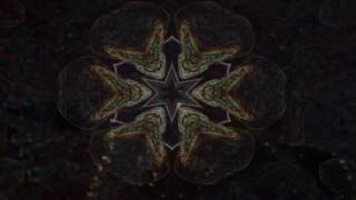 Ariel Sings  (Steve Kilbey)  (The Slow Crack)