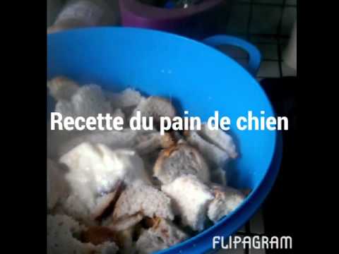 Recette du pain de chien