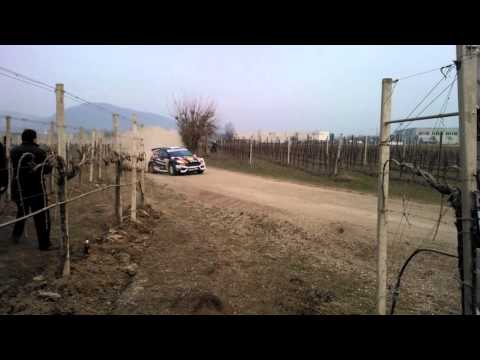 17° Prealpi master show 2015