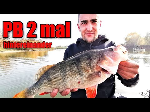 Auf PB Jagd am Rhederlaag