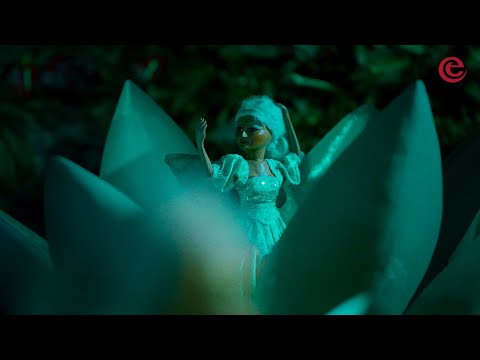 Efteling Wonderful Fairytales - The Indian Water Lilies