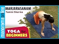 Marjarasanam Yoga For Beginners By Yamini Sharma Health Benefits Manorama Online