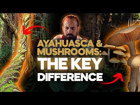 What's the difference between Mushrooms & Ayahuasca? Here's my experience having worked with both.