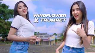Download lagu DJ WINDFLOWER X TRUMPET ENAKBANGET BUAT CEK SOUND mp3 Download lagu DJ WINDFLOWER X TRUMPET ENAKBANGET BUAT CEK SOUND mp3