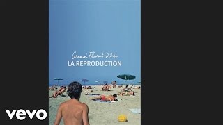 Arnaud Fleurent-Didier - Imbécile heureux (Audio)