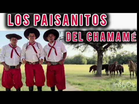 LOS PAISANITOS DEL CHAMAME - EN VIVO PAGO ARIAS MBURUCUYÁ CORRIENTES, ENERO 2026 