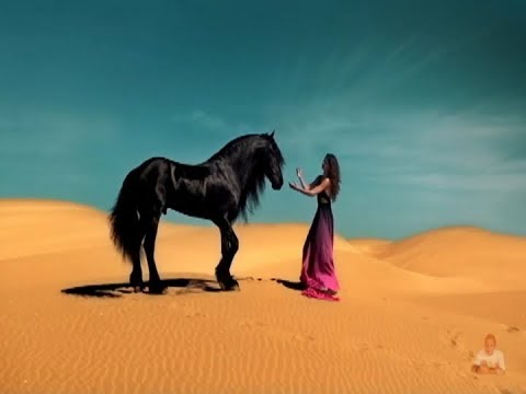 download lagu mp3 mp4 Msica Elton John, download lagu Msica Elton John gratis, unduh video klip Msica Elton John