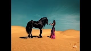 Elton John - The One (Lyrics) Legenda Inglês - Português