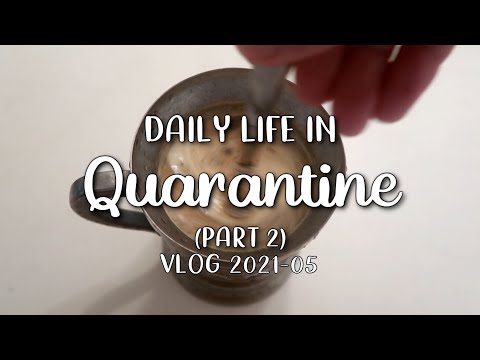 Daily Life in Quarantine (Part 2) | Josh Windswept | 2021-05